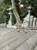 日枝神社(東京都)