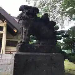 江南神社の狛犬