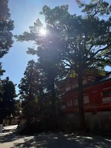 石清水八幡宮の{uncategorized: "未分類", other: "その他", undefined: "問題あり", building: "その他建物", grave: "お墓", sacred_gate: "鳥居", guardian: "狛犬", statue: "像", buddha: "仏像", history: "歴史", nature: "自然", garden: "庭園", animal: "動物", pagoda: "塔", temizu: "手水舎", mountain_gate: "山門・神門", sanctuary: "本殿・本堂", subordinate: "末社・摂社", art: "芸術", scenery: "景色", jizo: "地蔵", ema: "絵馬", goshuin: "御朱印", omikuji: "おみくじ", items: "授与品その他", amulet: "お守り", goshuincho: "御朱印帳", eats: "食事", festival: "お祭り", votive_dance: "神楽", shichigosan: "七五三参", wedding: "結婚式", experience: "体験その他", initially: "初詣", around: "周辺", anti_infection: "感染症対策"}