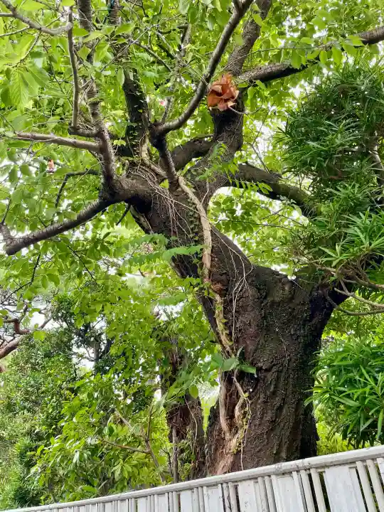 大運寺(神奈川県)