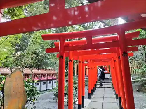 來宮神社(静岡県)