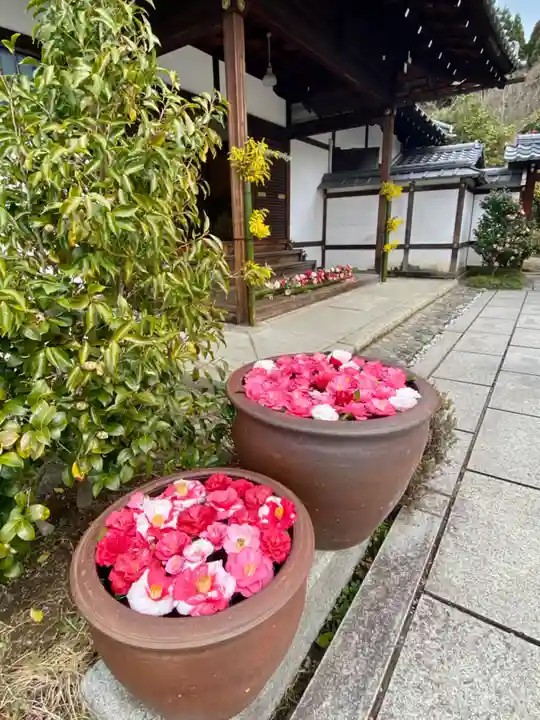 霊鑑寺門跡のその他建物