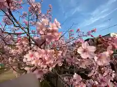 長円寺(京都府)