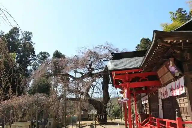 小川諏訪神社の本殿・本堂