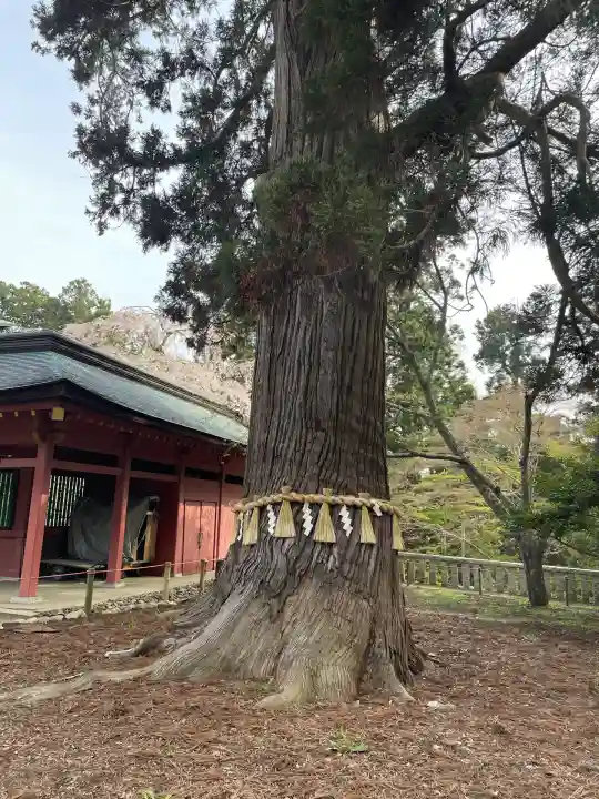 志波彦神社・鹽竈神社(宮城県)