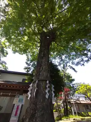 青渭神社(東京都)