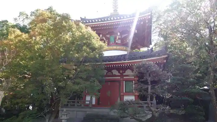 温泉山 安楽寺(四国霊場第六番札所)(徳島県)