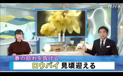 沙沙貴神社(滋賀県)