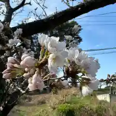 豊景神社の自然