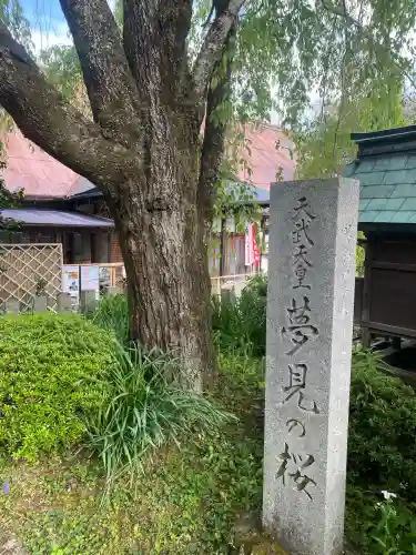 櫻本坊(奈良県)