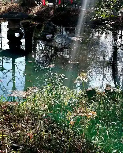 調神社の庭園