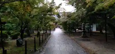 光明寺（粟生光明寺）のその他建物