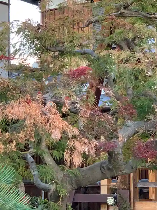 護念寺(大阪府)