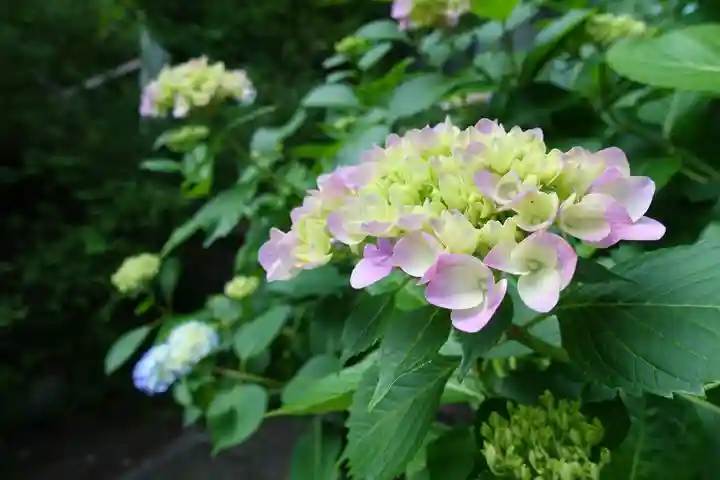 南法華寺(壷阪寺)(奈良県)