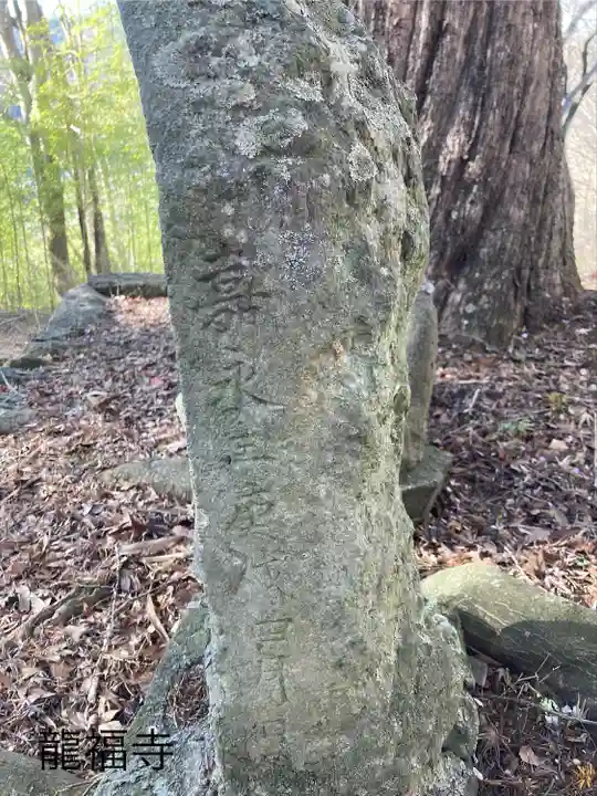 龍福寺 鳥羽堂観音(長野県)