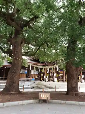 明治神宮の本殿・本堂