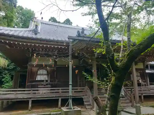 勝持寺（花の寺）の本殿・本堂