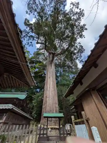事任八幡宮(静岡県)