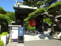 長谷寺の山門・神門