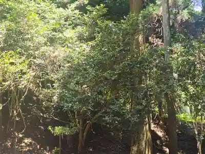 延暦寺 椿堂(滋賀県)
