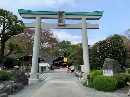 出雲大社相模分祠の鳥居