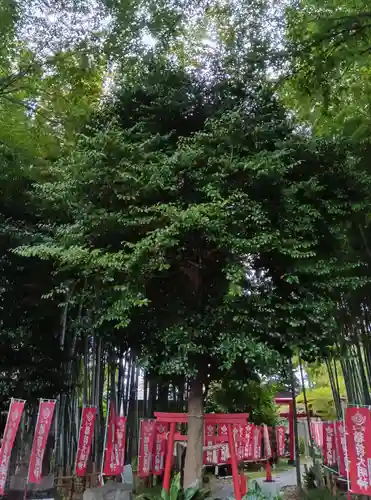 八重垣稲荷神社(東京都)
