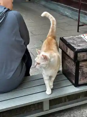 王子神社(徳島県)