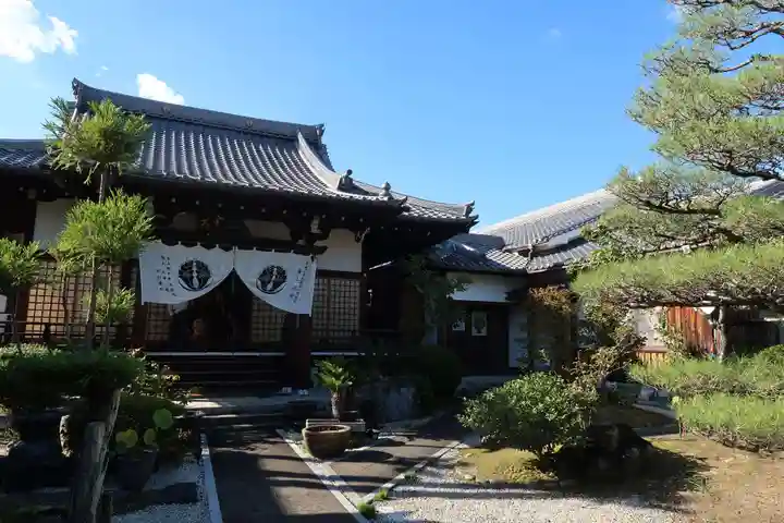 妙光寺(京都府)