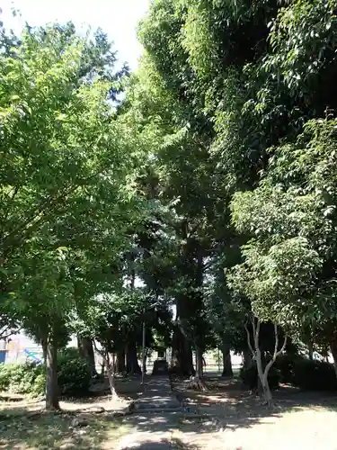 田中天神跡（稲木神社跡）の自然