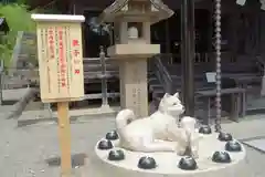 早馬神社の狛犬