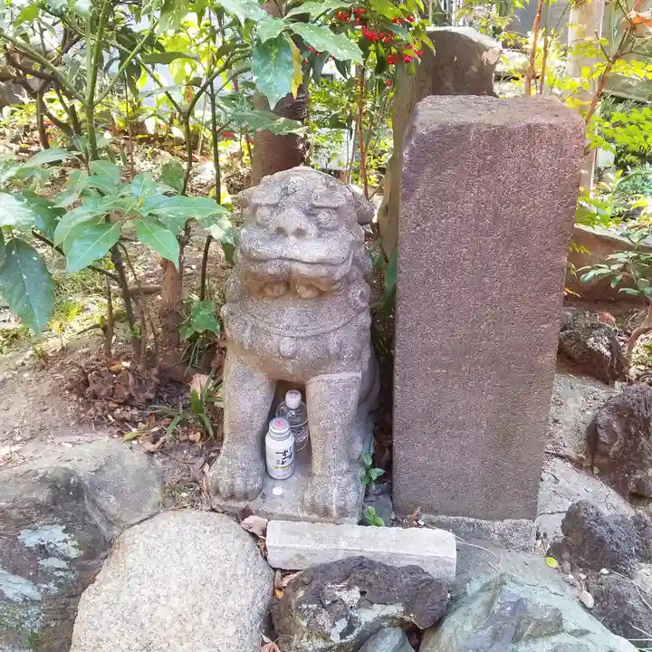 江島杉山神社の狛犬
