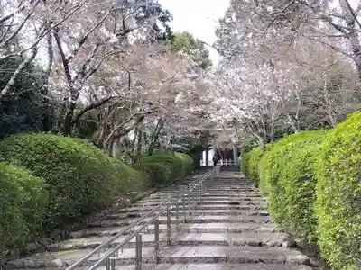 宗忠神社(京都府)