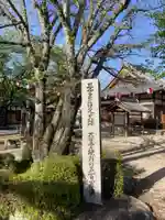 松樹院(竹成五百羅漢)(三重県)