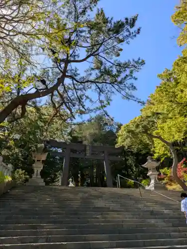 函館八幡宮の{uncategorized: "未分類", other: "その他", undefined: "問題あり", building: "その他建物", grave: "お墓", sacred_gate: "鳥居", guardian: "狛犬", statue: "像", buddha: "仏像", history: "歴史", nature: "自然", garden: "庭園", animal: "動物", pagoda: "塔", temizu: "手水舎", mountain_gate: "山門・神門", sanctuary: "本殿・本堂", subordinate: "末社・摂社", art: "芸術", scenery: "景色", jizo: "地蔵", ema: "絵馬", goshuin: "御朱印", omikuji: "おみくじ", items: "授与品その他", amulet: "お守り", goshuincho: "御朱印帳", eats: "食事", festival: "お祭り", votive_dance: "神楽", shichigosan: "七五三参", wedding: "結婚式", experience: "体験その他", initially: "初詣", around: "周辺", anti_infection: "感染症対策"}