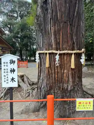 息栖神社(茨城県)