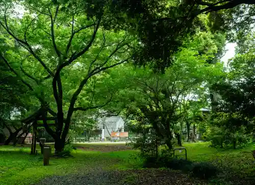 曽許乃御立神社(静岡県)