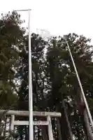 金井神社(栃木県)