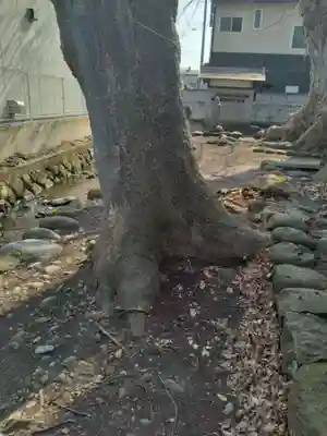 神明神社（錦町）(山形県)