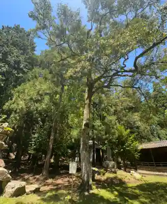 若狭姫神社（若狭彦神社下社）(福井県)