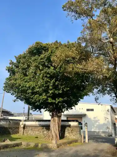 小竹八幡神社(和歌山県)