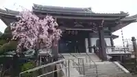 法蓮寺(東京都)