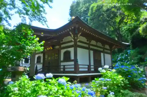 妙楽寺(神奈川県)