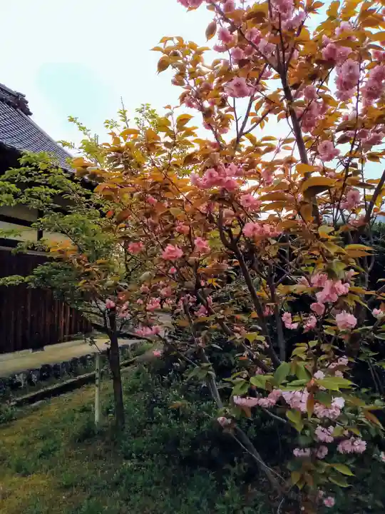 宇波西神社(福井県)