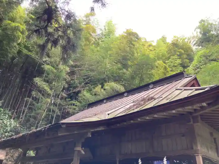 愛宕神社(栃木県)