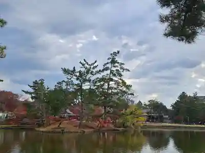 東大寺(奈良県)