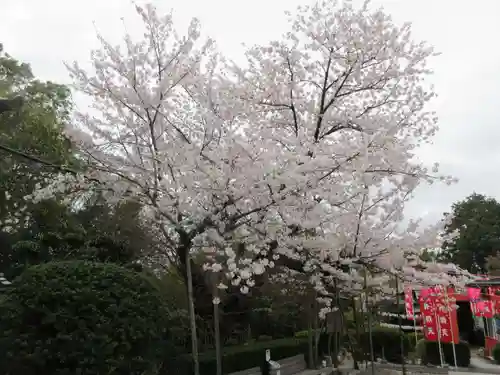 戒光寺（戒光律寺）(京都府)