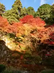 金剛輪寺(滋賀県)