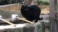 王子神社の動物