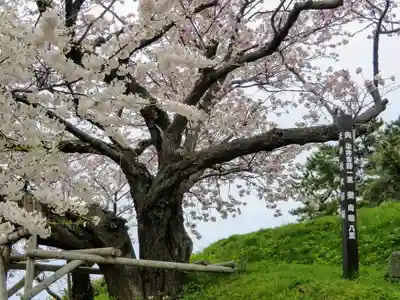 松前神社(北海道)