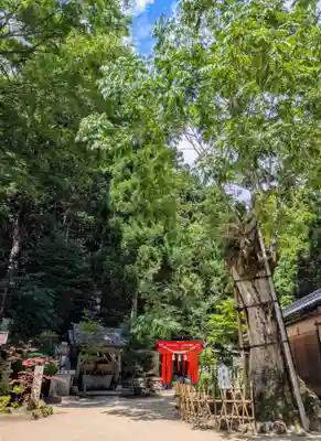葛城一言主神社(奈良県)